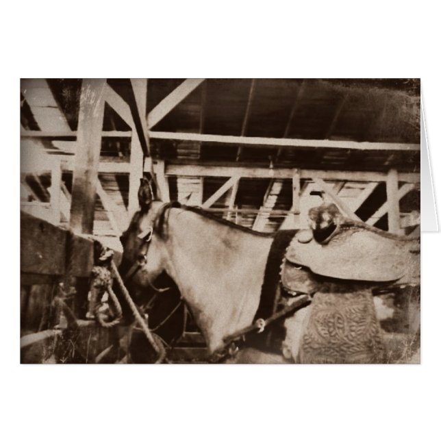 Photo Cheval d'apparence antique (Devant Horizontal)