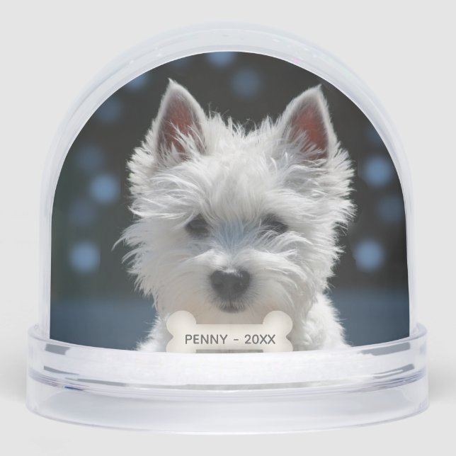 Photo Chien Chien Chien Chien Chien Chien Blanc Pe (Avant)