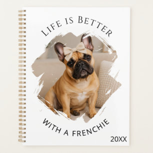 Photo citation Bouledogue Français 2027