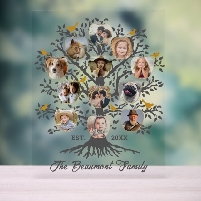 Photo Collage 12 Family Tree Nom et date personnal (Neutre)