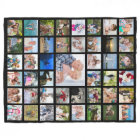 Photo Collage 45 Pics Editable Colour Personalized