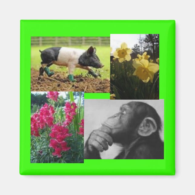 Photo collage magnet (Front)