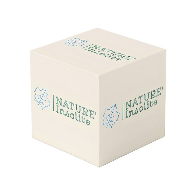 Photo Cube "logo" 10cm (Angle devant)