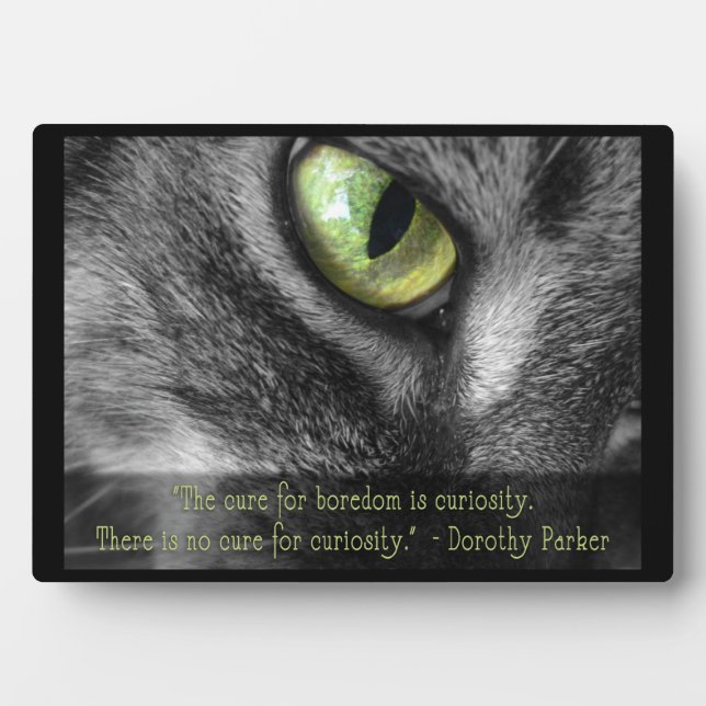 Photo Curiosity Chat avec Parker citation plaque (Devant)