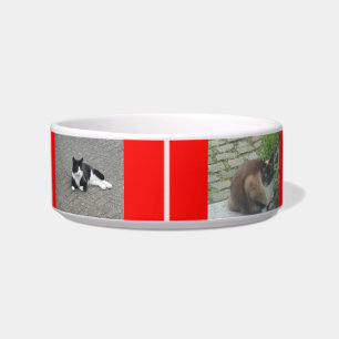 Photo Cust. Pet Bowl