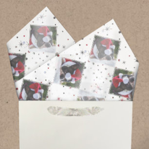 Photo Custom Colour-Matching Snow & Stars Pets Tissue Paper
