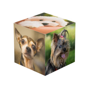 Photo Cute & Funny Dogs (et / ou VOS photos) cube
