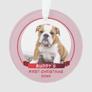 Photo Cute Pink Puppy 1st Christmas Dog