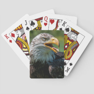photo d'aigle playing cards