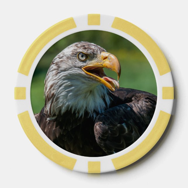 photo d'aigle poker chips (Front)