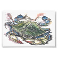 Photo d'art crabe bleu