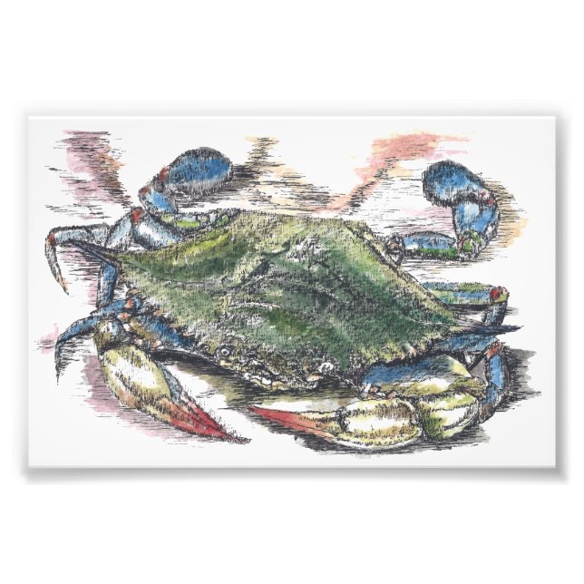 Photo d'art crabe bleu (Devant)