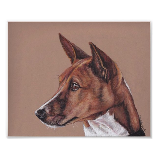 Photo d'art de chien Basenji (Devant)