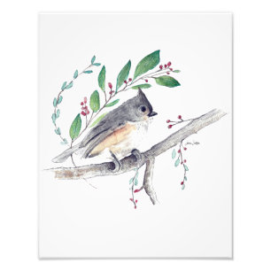 Photo d'art d'Oiseaux Tufus Titsouris Imprimer