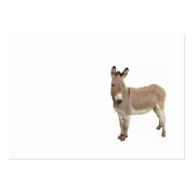 Photo de Burro à Donkey Cute