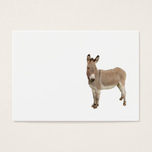 Photo de Burro à Donkey Cute