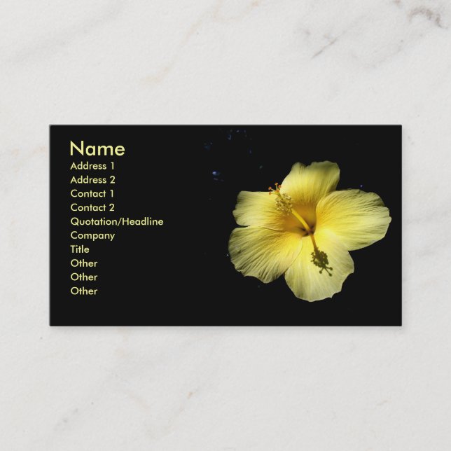 Photo de carte de profil d'affaires d'usine de (Devant)