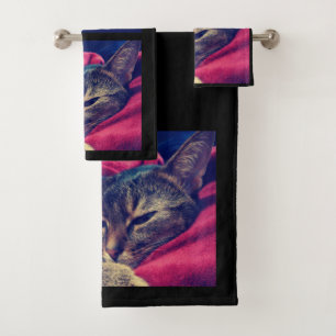Photo de chat, chat, Animaux domestiques, chat drô