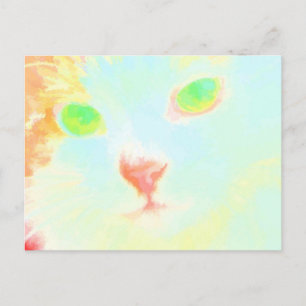 Photo de chat Pastel Maine Coon - Carte Postale