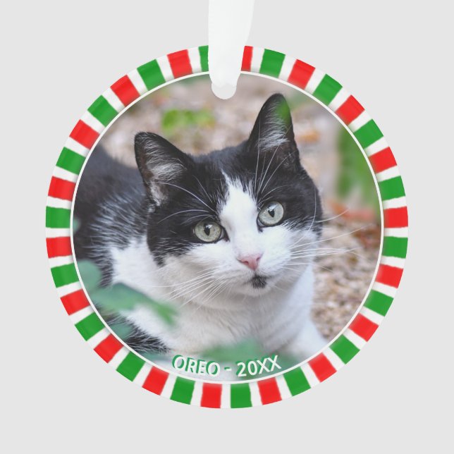 Photo de chat tuxedo personnalisée et cadre rouge  (devant)
