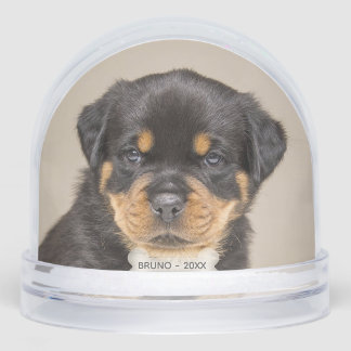 Photo de Chien Chien Chien Chien Personnalisé Rott