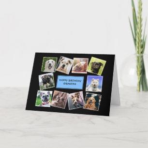 Photo de chien Collage Bleu Carte d'anniversaire