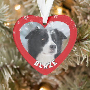 Photo de chien de Noël personnalisé Border Collie