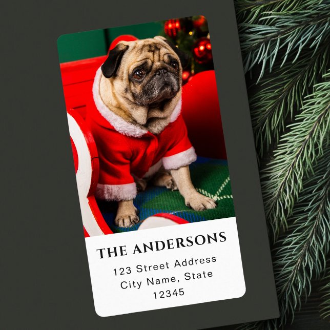 Photo de chien Lover Photo Noël Pawlidays (Créateur téléchargé)