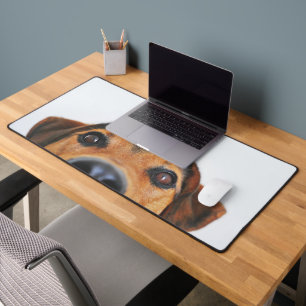 Photo de chien personnalisé moderne