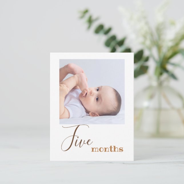 Photo de cinq mois Carte Bannière Anniversaire (Debout devant)