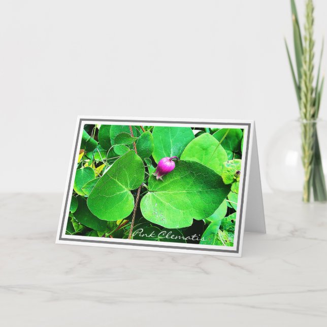 Photo De Clematis Rose Vibrant Et Carte De Foliage (Devant)