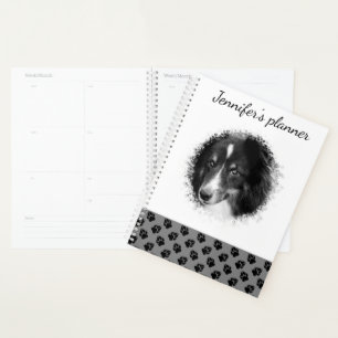 Photo de compagnie personnalisée & empreintes de p