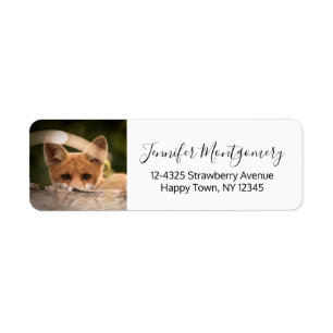 Photo de Cute Little Orange Fox