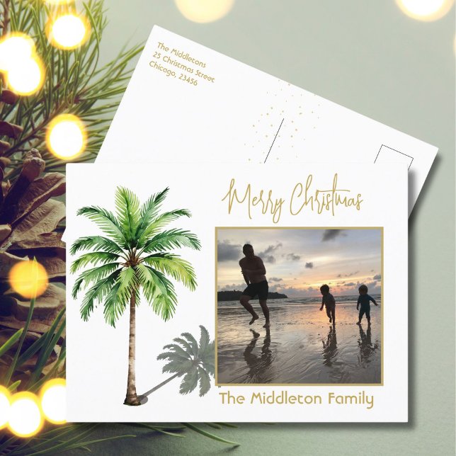 Photo de famille de Noël Carte postale Tropical Pa (Créateur téléchargé)
