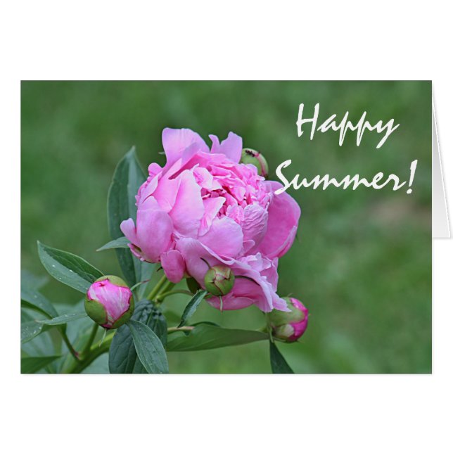 Photo de fleur d'été (Devant horizontal)