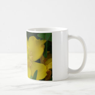 Photo de fleur jaune Tasse blanche classique