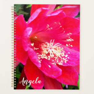 Photo de fleur rose tropicale