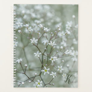 Photo de fleurs de Gypsophile avec monogramme