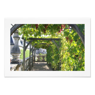 Photo de Grape Arbor au Palais Villandry en France