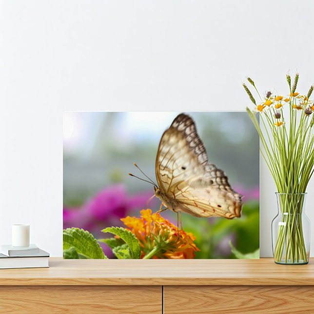 Photo de gros plan Papillon et Fleur (Tropical butterfly nature print with orange and purple pink flowers. Simple and vibrant.)