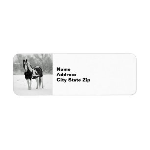 Photo de Horse Black and White Snow