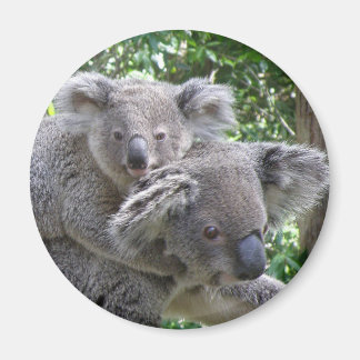 Photo de koala et bébé Australie sur aimant
