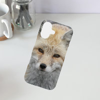 Photo de la faune de Red Fox