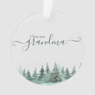 Photo de la forêt d'hiver Love You Grand-mère