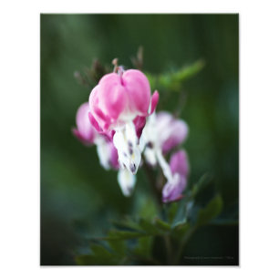 Photo de la ligne Coeurs brisés
