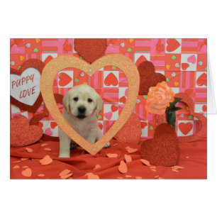 Photo de la semaine 6 de bourrasque