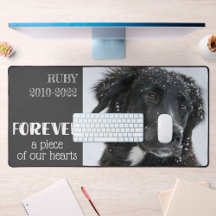 Photo de la sympathie de la mémoire des animaux de