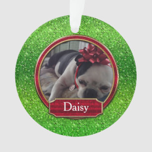 Photo de l'organisme acrylique FAUX Vert rouge éti