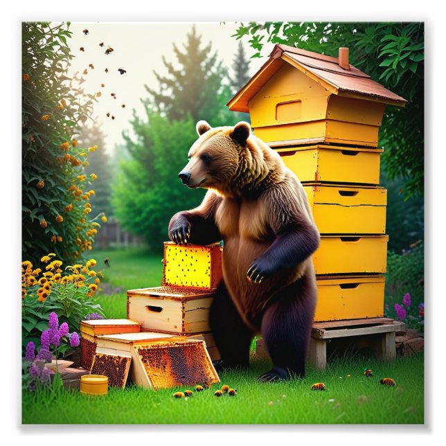 Photo de l'ours de ruche (Devant)
