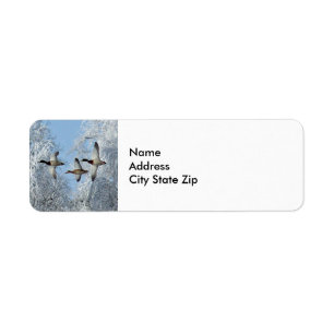 Photo de Mallard Duck Flying Snow